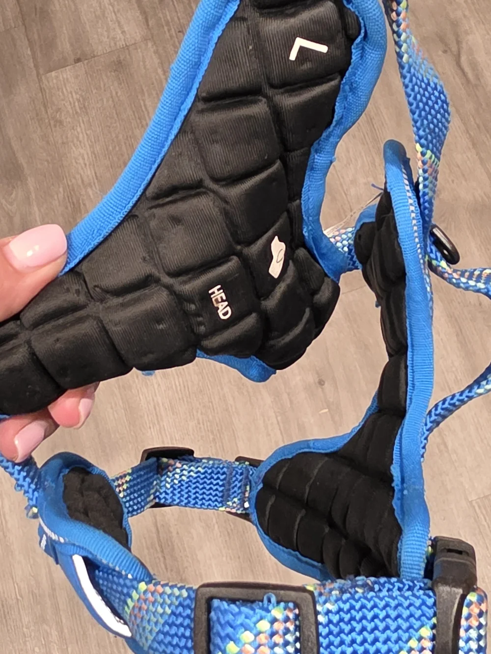 Arcadia Trail Blue Padded Dog Harness with Multicolor Webbing